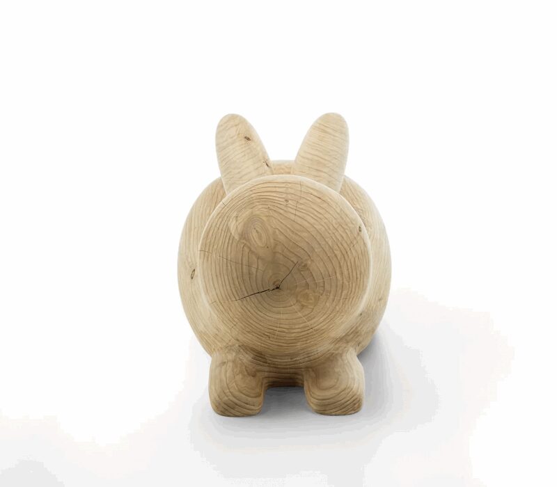Фигура Usako