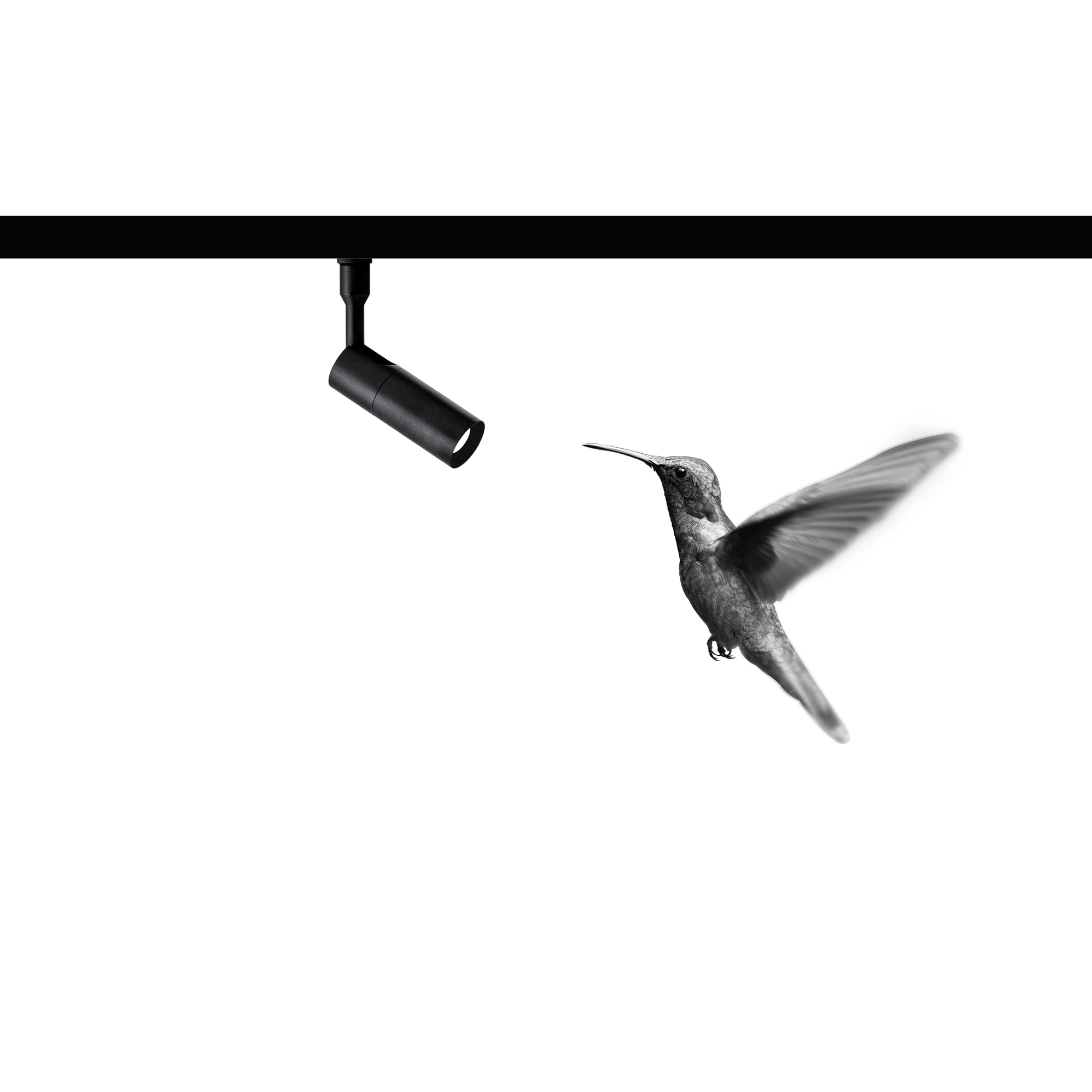 Модульный светильник Colibrì