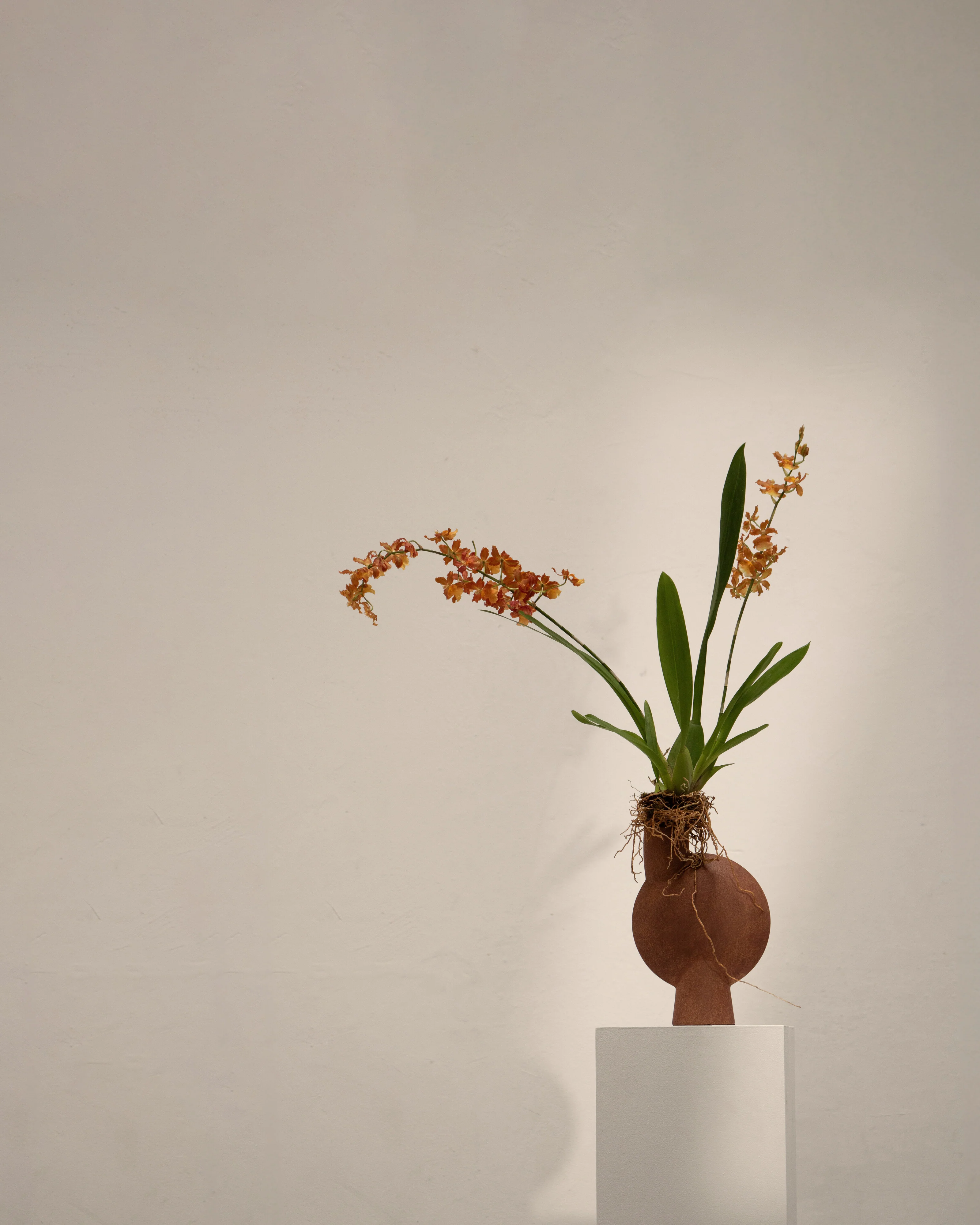 Ваза Sphere Bubl Medio — Terracotta