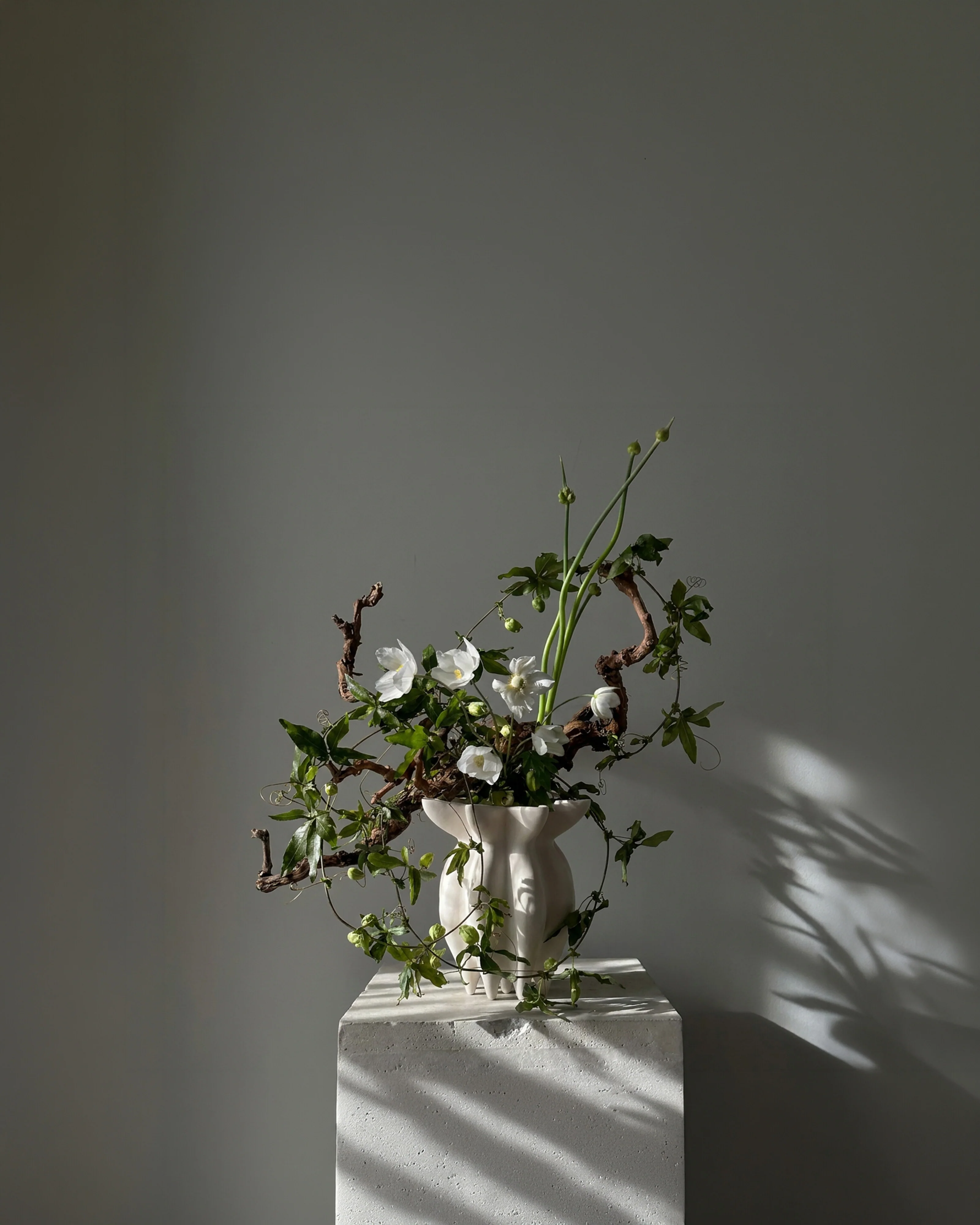 Ваза Lotus Petit — Birch