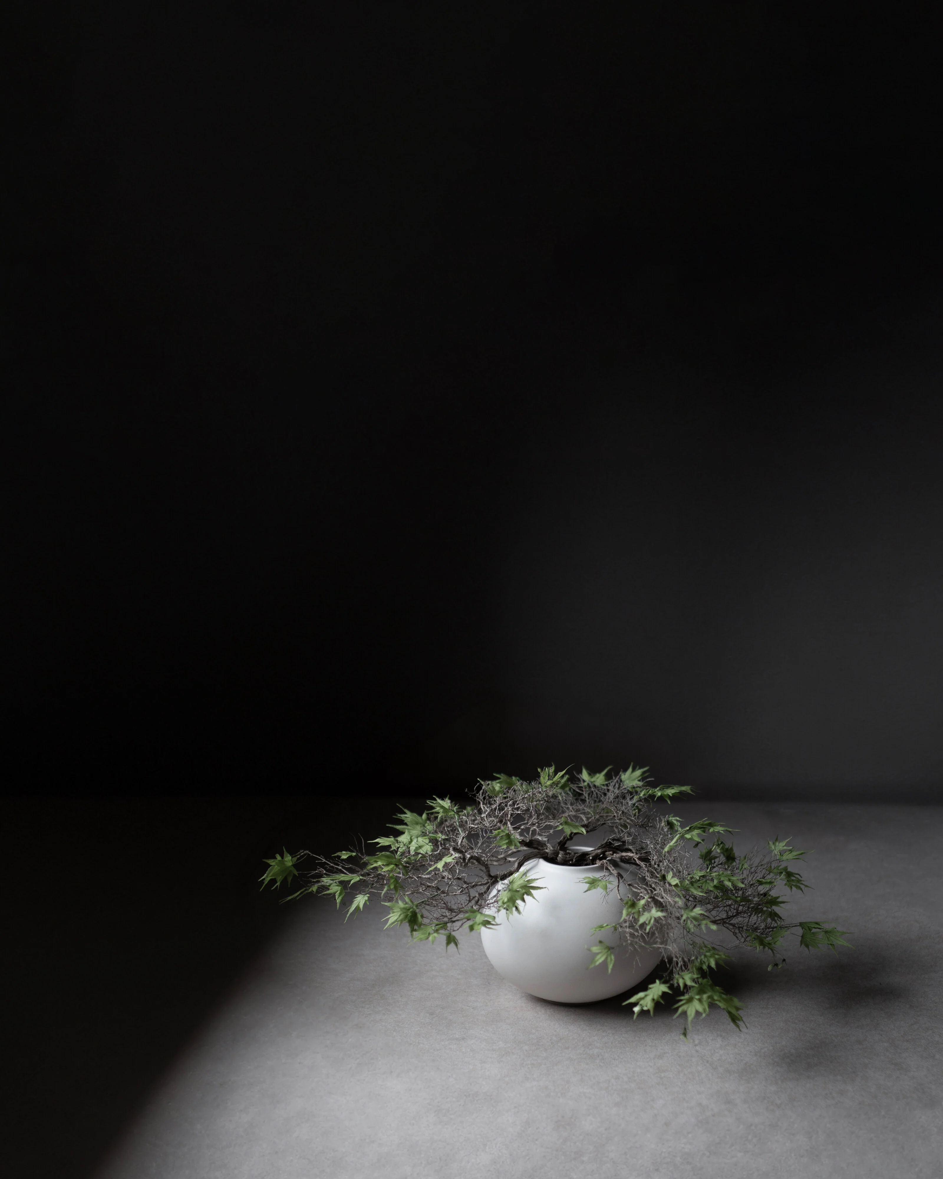 Ваза Sunao Vase Fat Mini — Birch