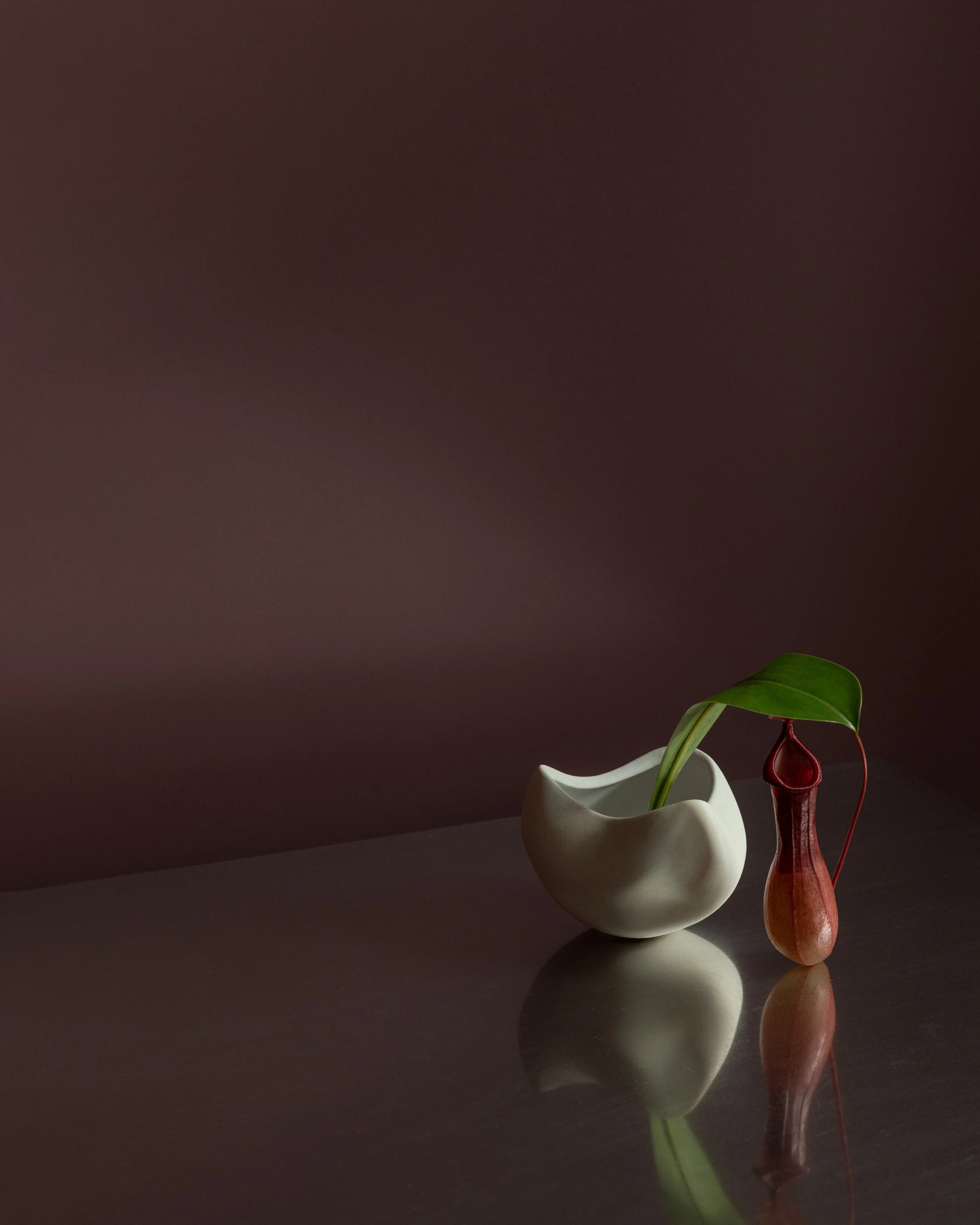 Чаша Curve Mini — Bone White