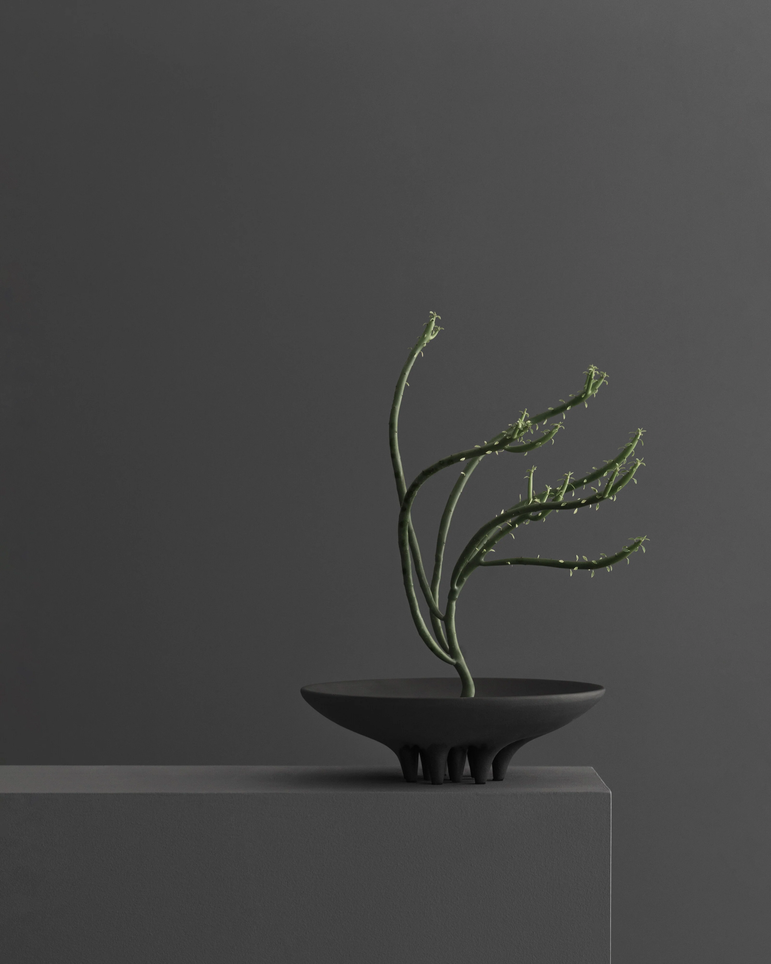 Блюдо Medusa Mini — Coffee